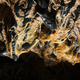 Illustration for article titled Lava Caves Filled with the Most Beautiful Excrement in the World